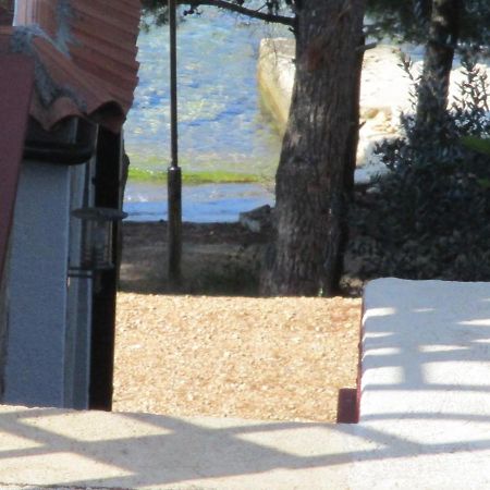 Apartments Meni Drage Εξωτερικό φωτογραφία